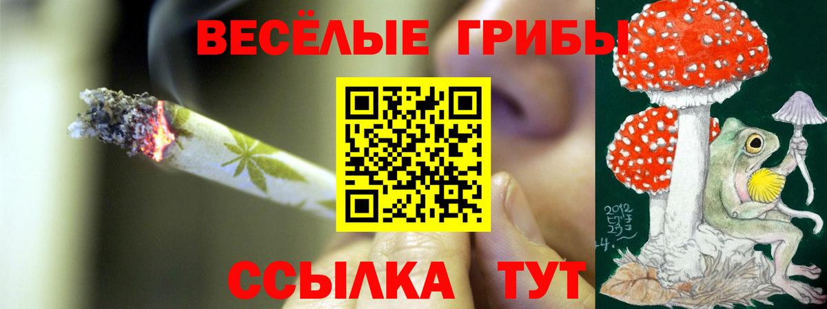 Псилоцибиновые грибы Красноуфимск