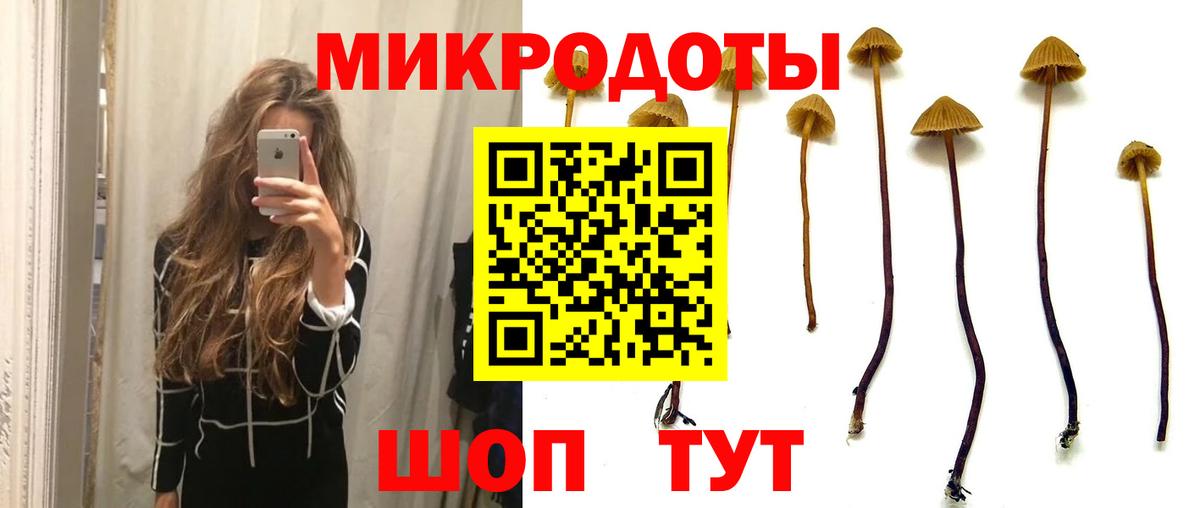 Галлюциногенные грибы Psilocybine cubensis  Вход с VPN  Красноуфимск 